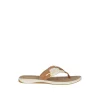 Parrotfish Sandal