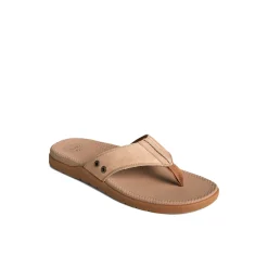 Santa Cruz II Thong Sandal