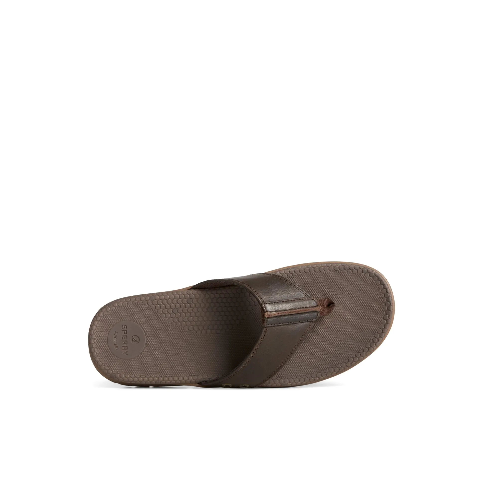 Santa Cruz II Thong Sandal