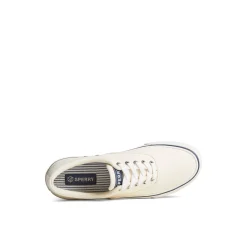 Striper II Canvas CVO Sneaker