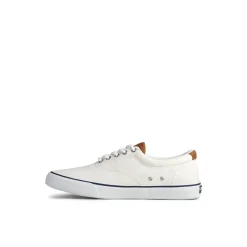 Striper II CVO Sneaker